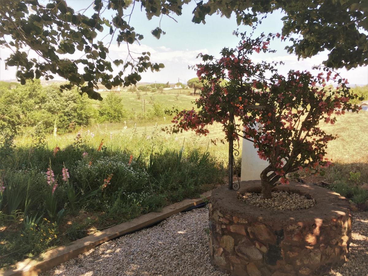 Portela Guesthouse Cercal do Alentejo 外观 照片