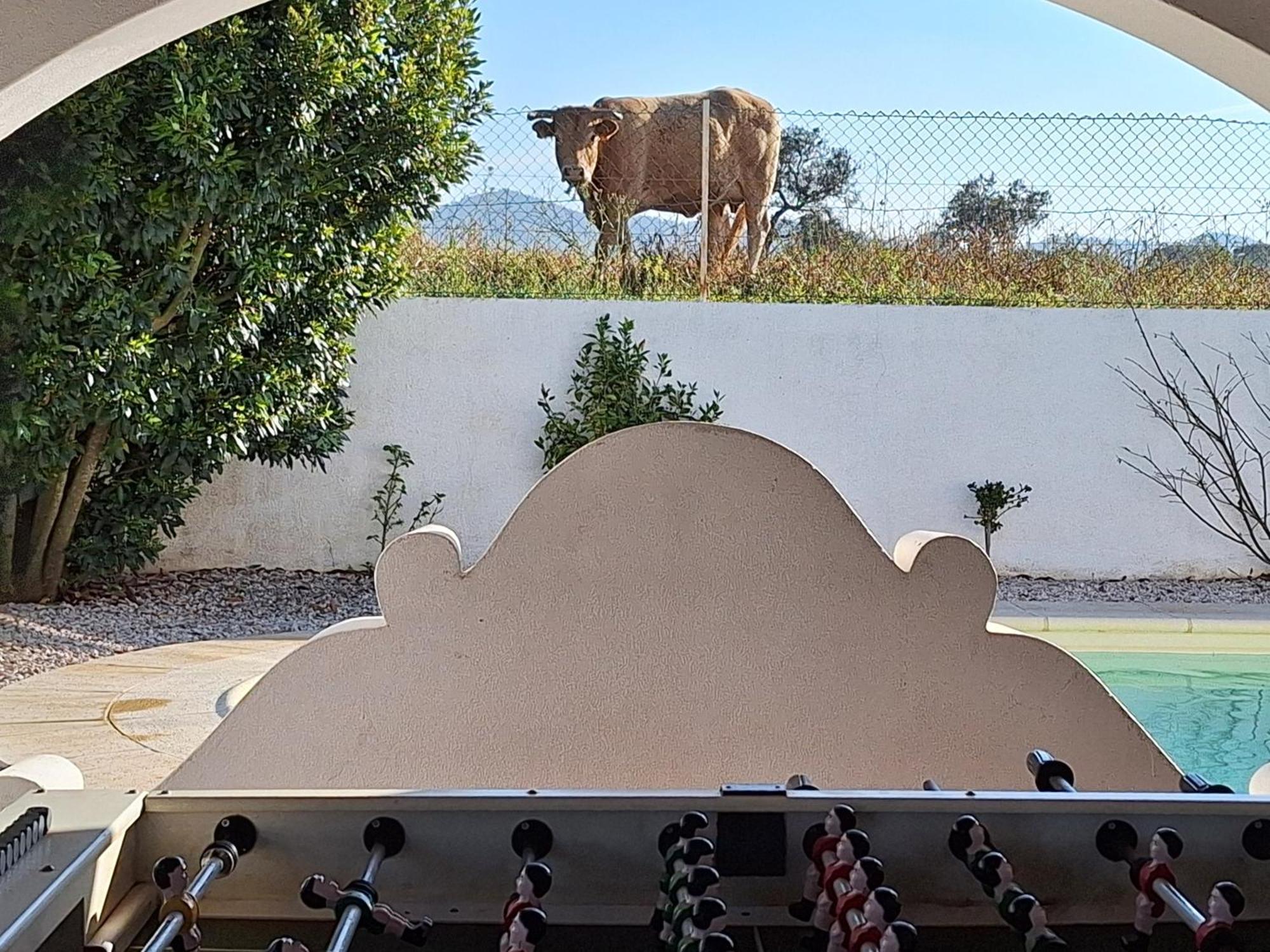 Portela Guesthouse Cercal do Alentejo 外观 照片
