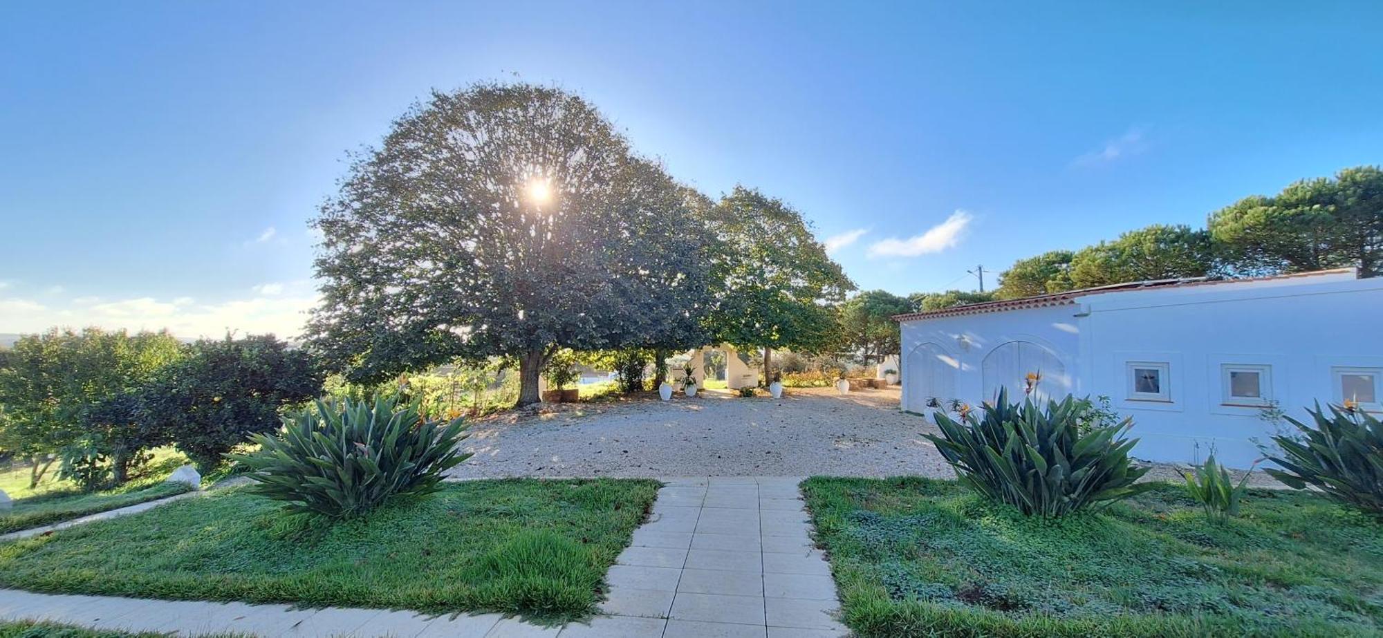 Portela Guesthouse Cercal do Alentejo 外观 照片